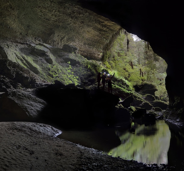 Glowworm Cave Tour