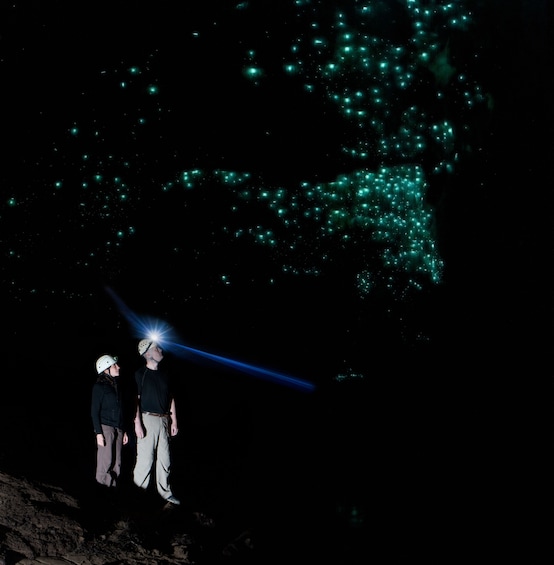 Glowworm Cave Tour