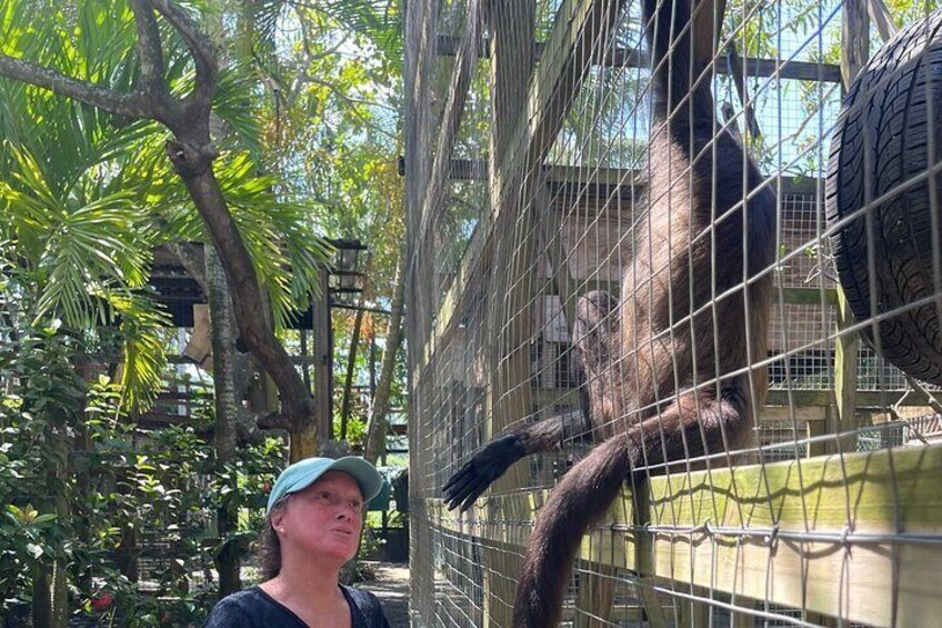 Monkey and Sloth Sanctuary, Rum & Chocolate Factory + City Walk