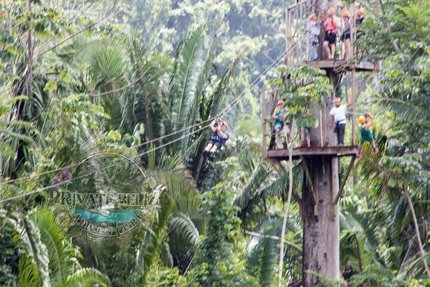 Altun Ha and Ziplining from San Pedro