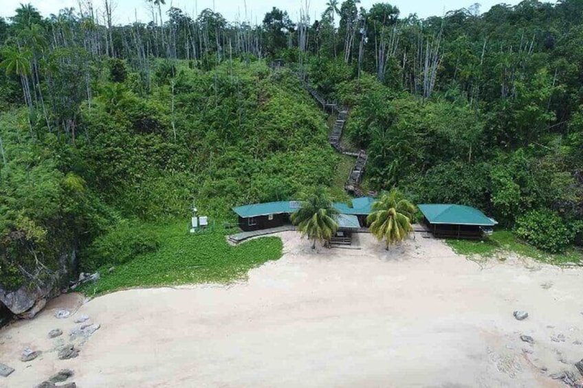 Sarawak Bako National Park Tour