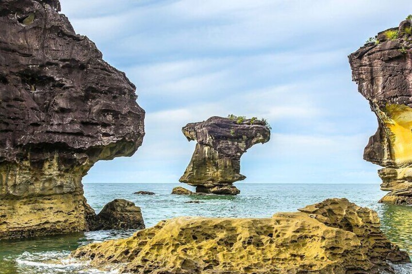 Sarawak Bako National Park Tour