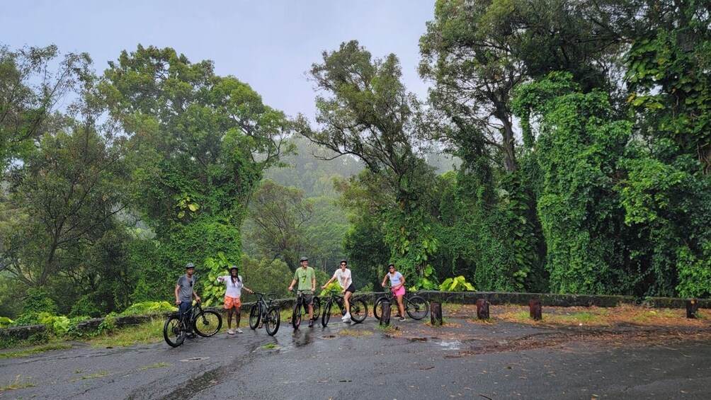 eBike Tour - 10-Miles of Smiles Honolulu's Rainforest Ride
