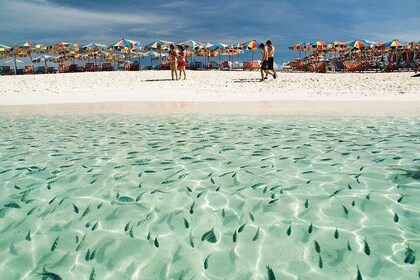 Khai Island Half Day Tour in 3 Islands (Khai Nai,Khai Nok,Khai Nui) from Ph...