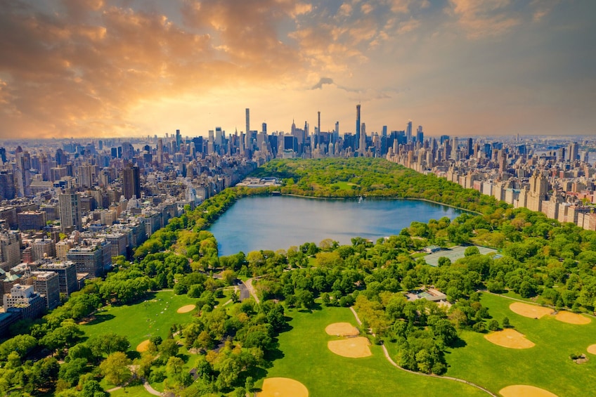 Discover NY: Guided Day Bus Tour of NYC