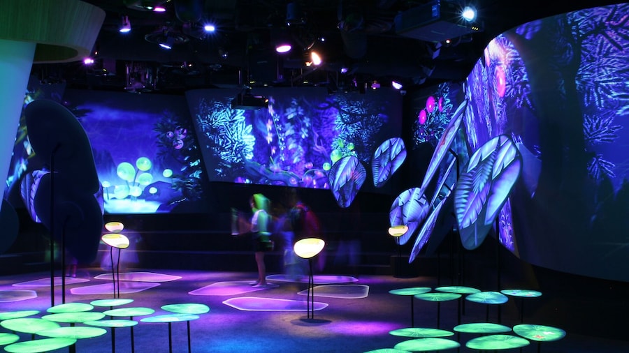 Changi Experience Studio