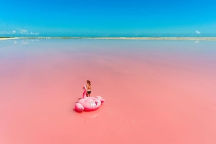 Las Coloradas & Rio Lagartos All-inclusive Tour
