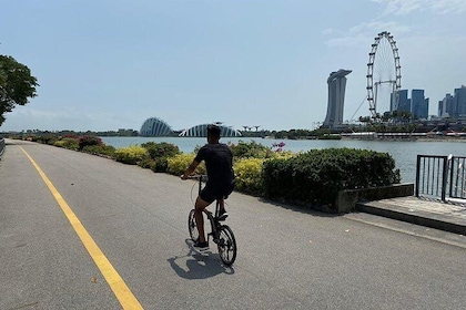 BikingSG Best of Singapore：リラックスしたオーディオサイクリングツアーで観光