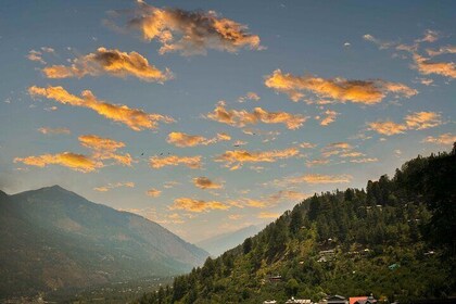Kullu & Nagger Full Day Sightseeing Tour From Manali