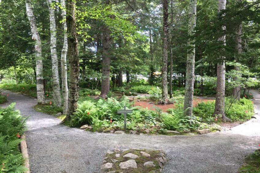 Wild Gardens of Acadia (Sieur De Mont's Spring)