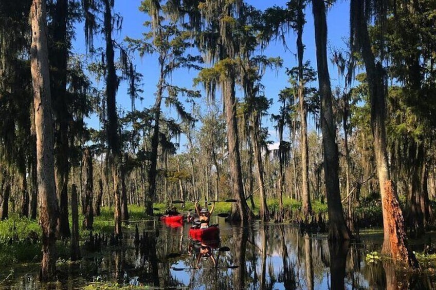 Whitney Plantation and Manchac Swamp Kayak Tour Combo