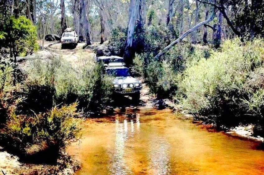 Blue Mountains Into The Wild Overnight Camping 4WD Off Road Wilderness Adventure