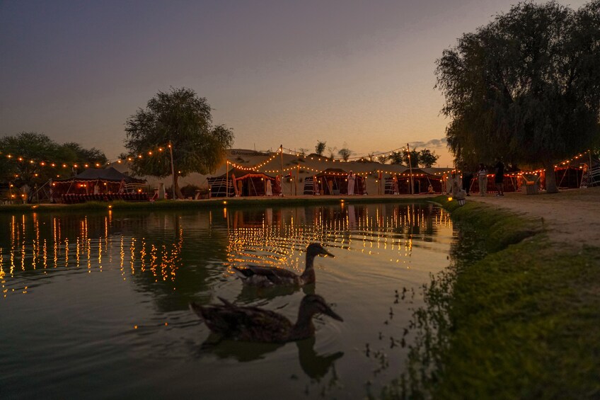 Dubai Evening Safari by Vintage G Class at Al Marmoom Oasis