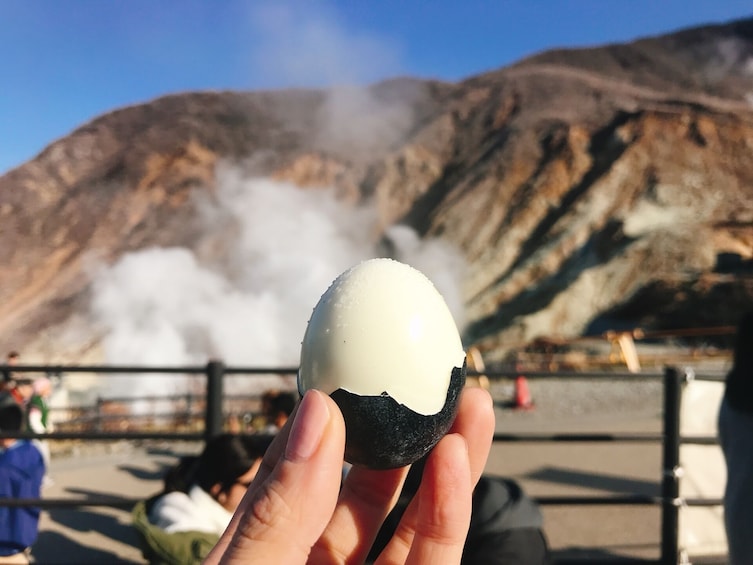 Show item 5 of 6. Mishima & Hakone: 1 day Private Tour with Driver