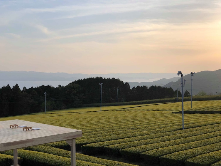 Show item 1 of 3. Tea Tourism : Outdoor tea ceremony experience @ Chatou