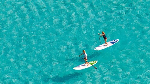 One Hour Stand-Up Paddleboarding Rental for 2 people