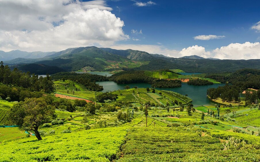 Mysore and Ooty Tour