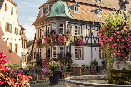 Elzas Dorpen Kleine Groep Halve Dag Tour vanuit Straatsburg