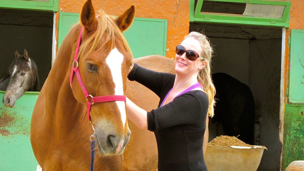 Foto 4 von 10 laden woman brushing horse in Barcelona