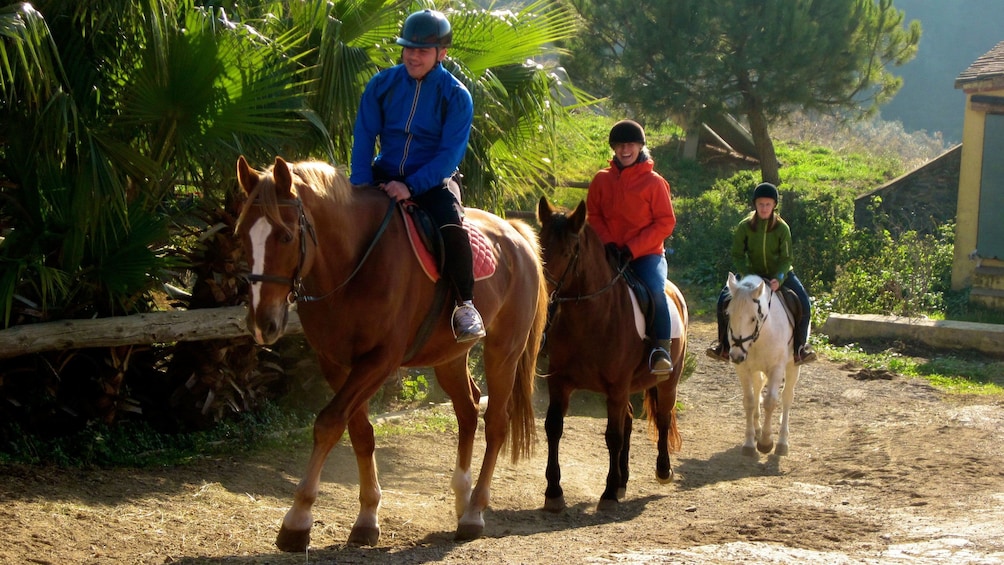 Foto 1 von 10 laden three people riding horseback on trail in Barcelona