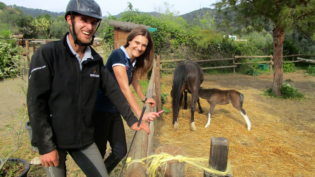 Ver elemento 5 de 9. man and woman watch a foal nurse at ranch in Barcelona