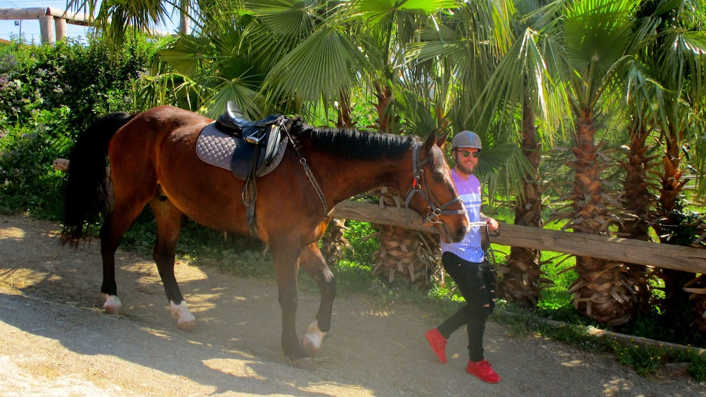Ver elemento 4 de 9. woman leading horse down path in Barcelona