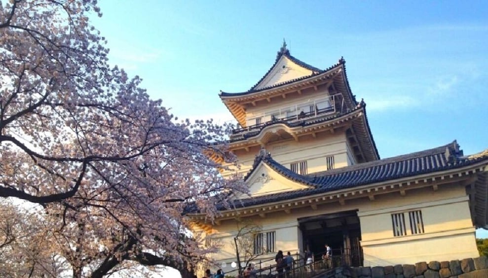 Show item 3 of 6. Odawara Castle, Lake Ashi & Hot Spring 1 day Private Tour
