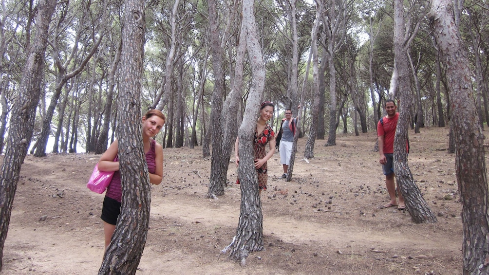 Öppna foto 4 av 5. two men and two women hiding behind trees in grove in Barcelona
