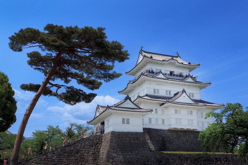 Show item 1 of 5. Odawara & Hakone: 1 day Private Tour with Driver