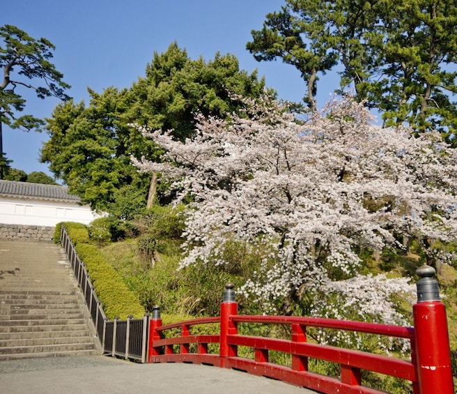 Show item 5 of 5. Odawara & Hakone: 1 day Private Tour with Driver