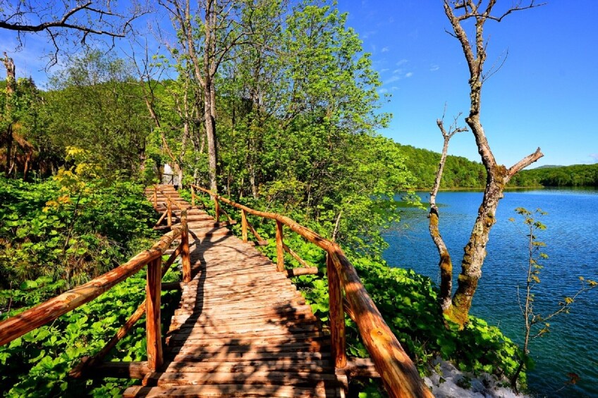 Show item 1 of 8. Private transfer from Split or Trogir to Zagreb and Plitvice