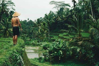 Best Thing to do in Ubud in One Day