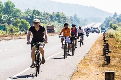 5 Hours Goa Divar and Chorao Islands Small Group Cycling Tour