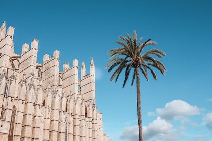 Selvguidet lydtur - The Legends of Palma