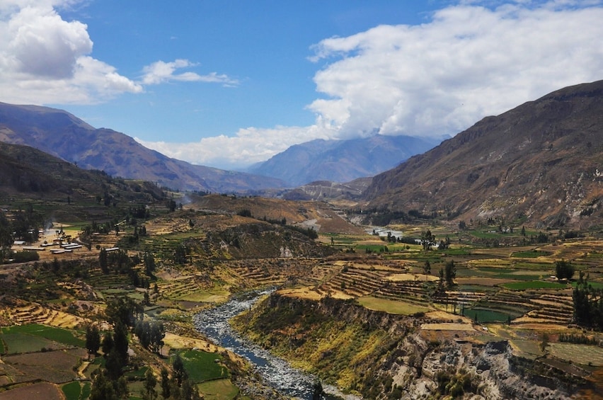 Full Day Colca Canyon Tour