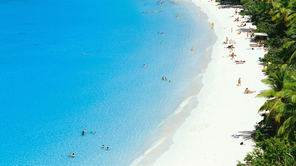 Trunk Bay Beach with beachgoers in St. Thomas.