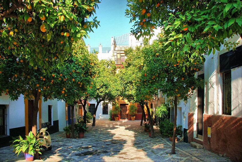 Show item 2 of 9. Day trip: Seville from Cadiz