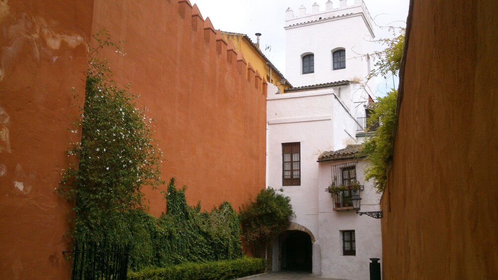 Show item 3 of 9. Day trip: Seville from Cadiz