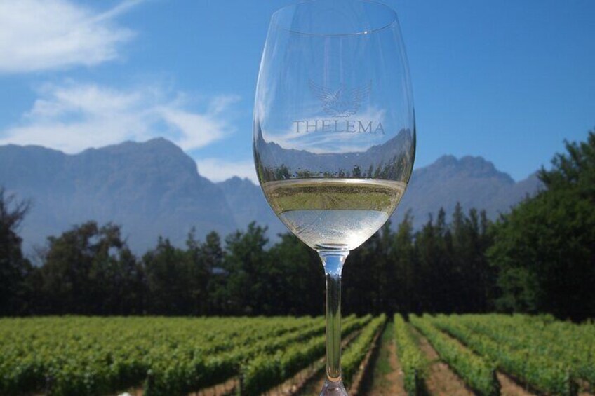  Private Zesty White Wine Tour 