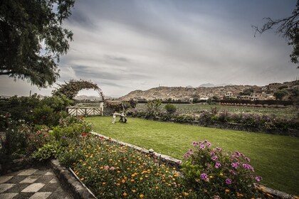 Arequipa: Halvdagstur til Campiña, Mansión del Fundador og Sabandia