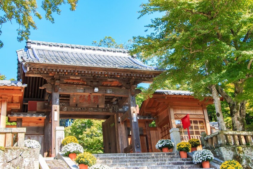 Show item 3 of 5. Mishima, Numazu & Shuzenji: 1 day Private Tour with Driver