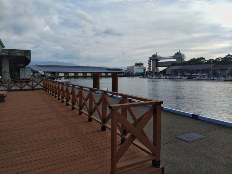 Show item 4 of 5. Mishima, Numazu & Shuzenji: 1 day Private Tour with Driver
