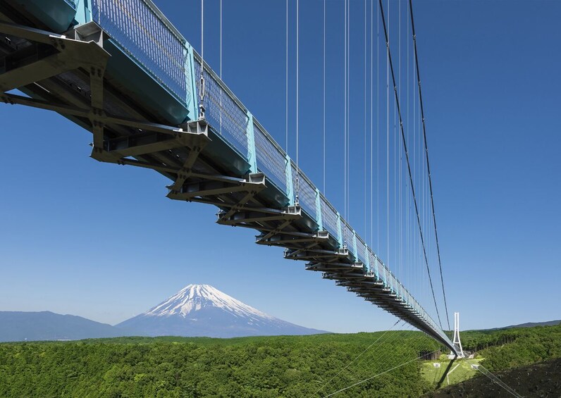 Show item 2 of 5. Mishima, Numazu & Shuzenji: 1 day Private Tour with Driver