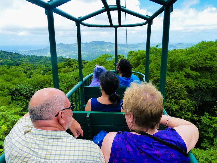 Rainforest Aerial Tram