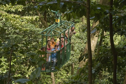 Téléphérique au cœur de la forêt tropicale