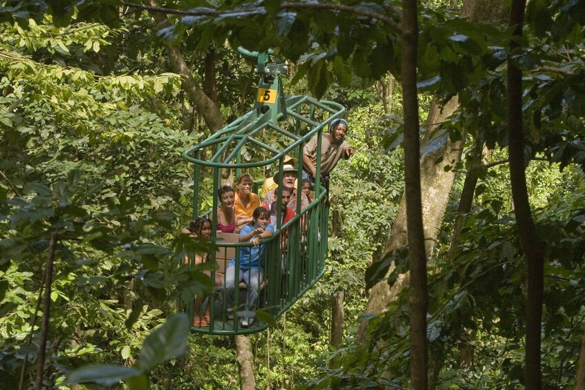 Rainforest Aerial Tram