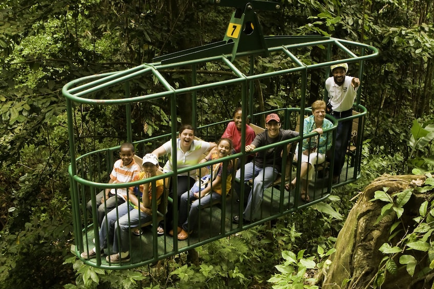 Rainforest Aerial Tram