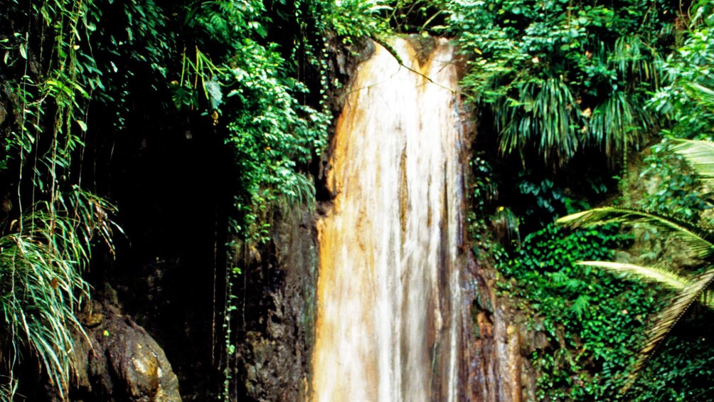 Waterfall in the rainforest in Saint Lucia