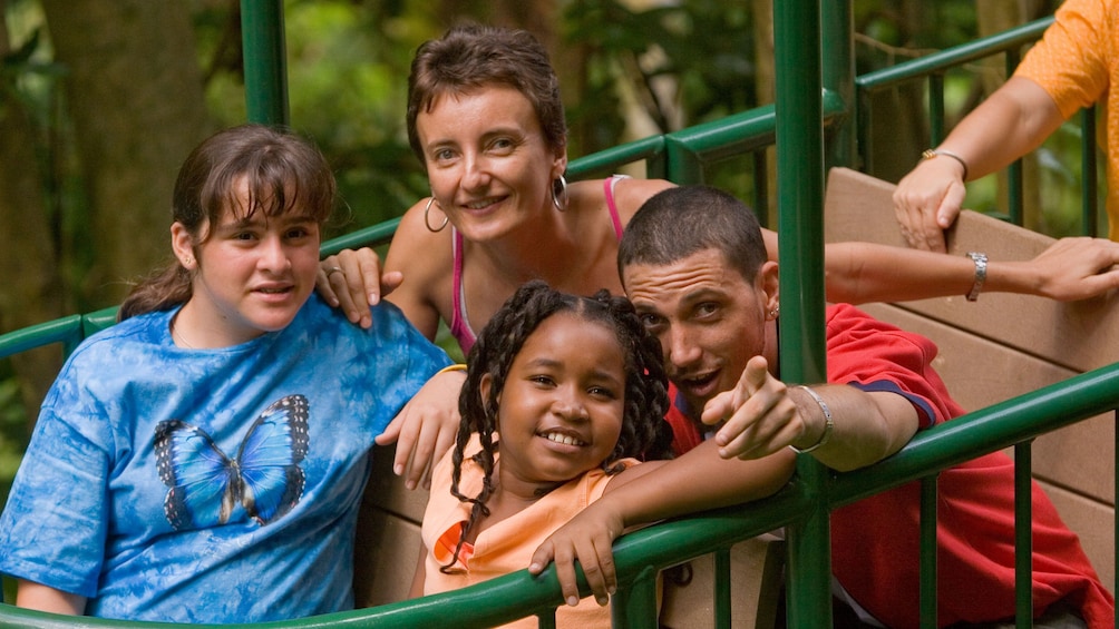 Observing the rainforest from the aerial tram in Saint Lucia