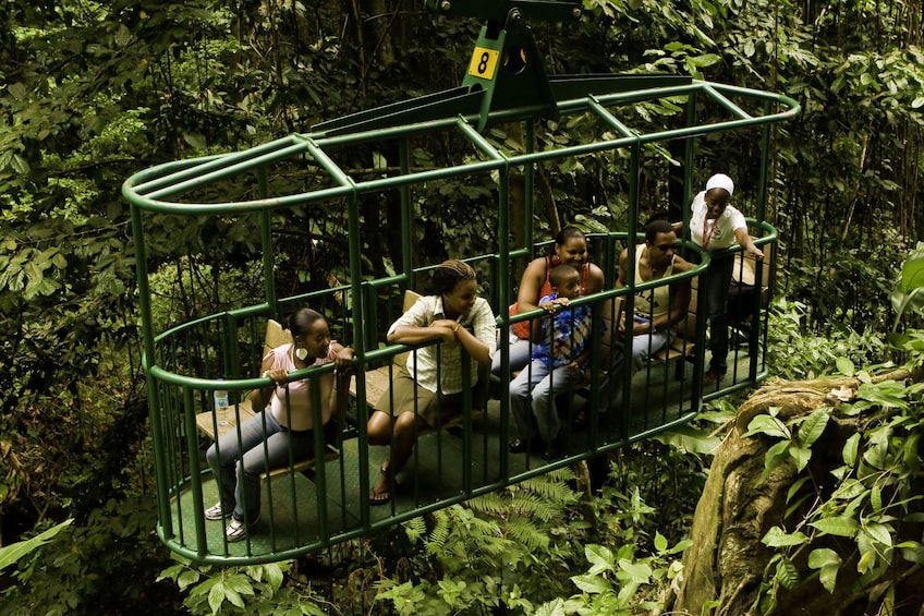 Rainforest Aerial Tram